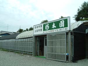 杉本園店舗